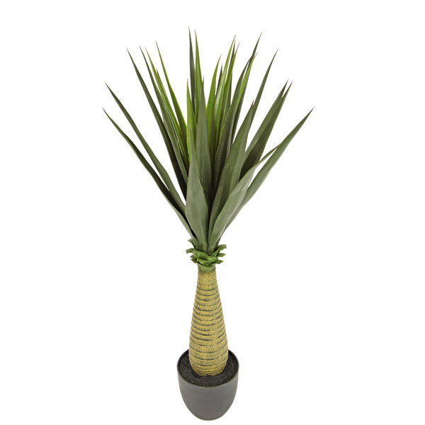 Die Saisontruhe Kunstpflanze Yucca im Topf Wayfair.de